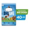 Big Life Dry Dog Food for Big Dogs;  Savory Chicken;  Veggies & Barley Recipe;  40-Pound Bag